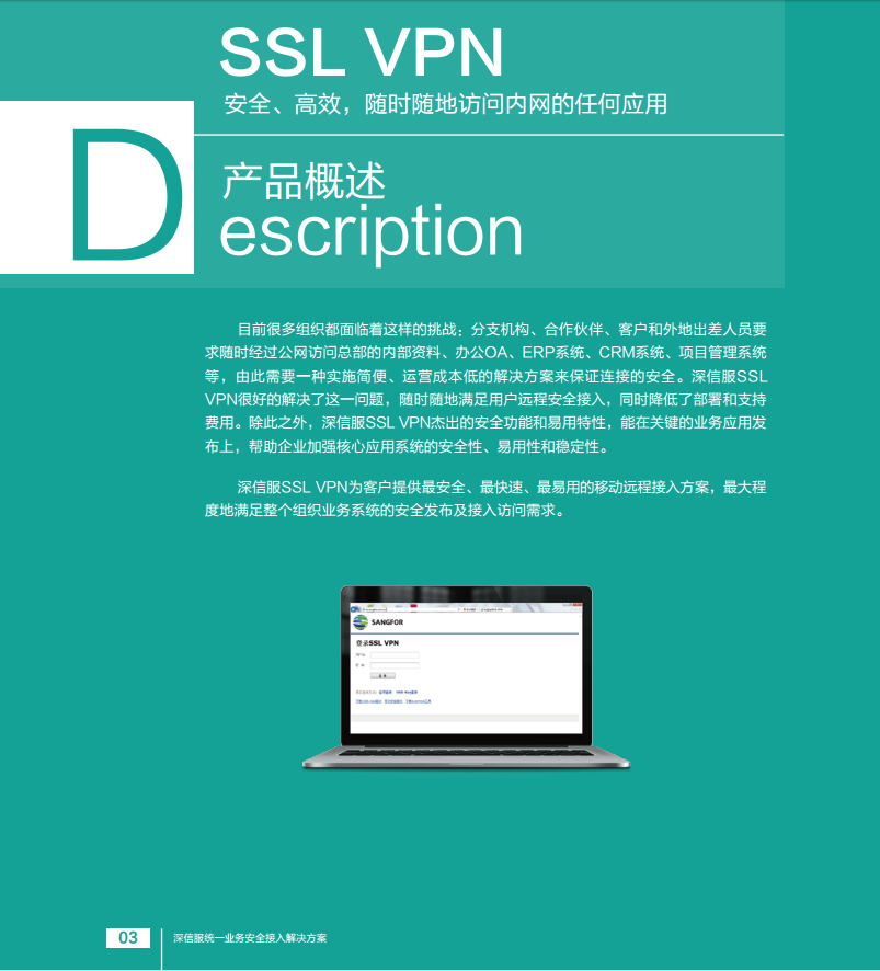 ŷSSL VPN